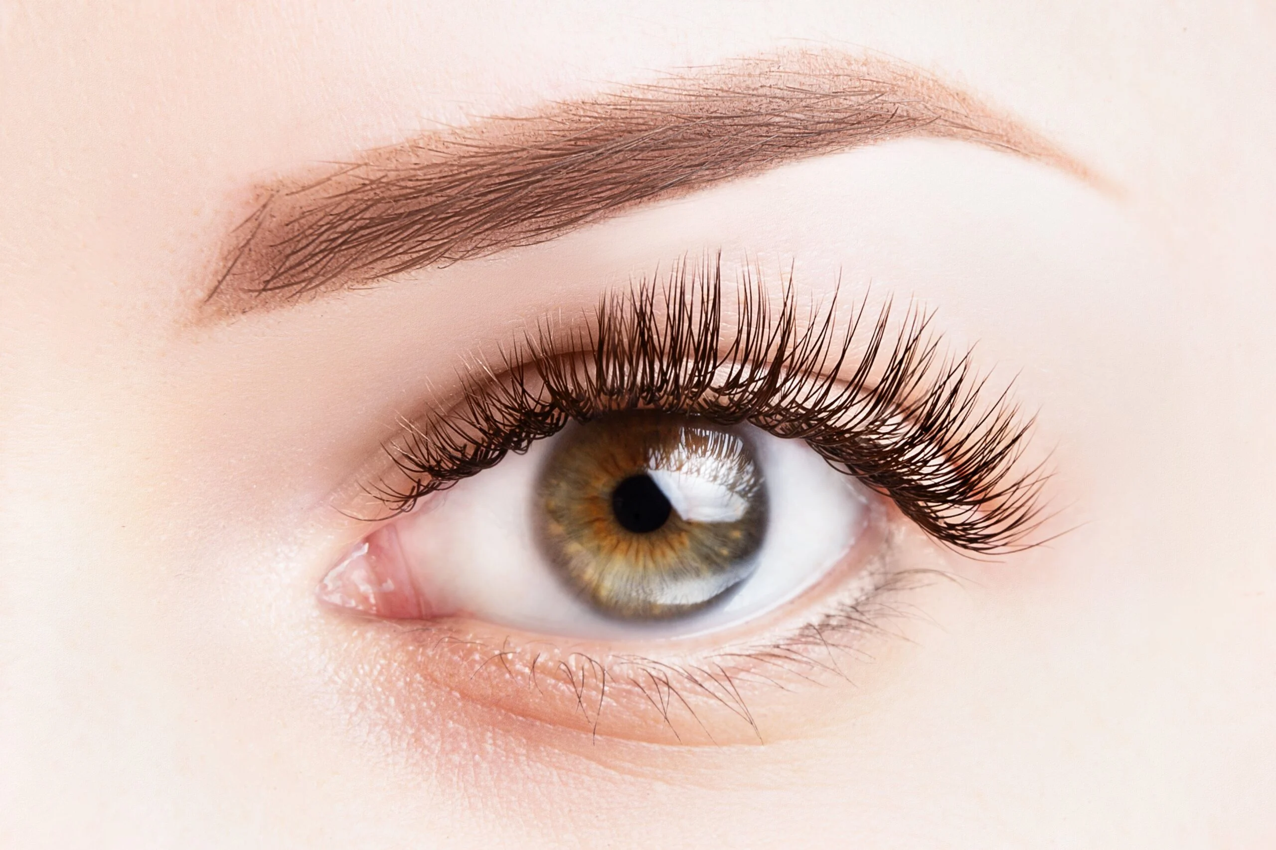 Lash Tint